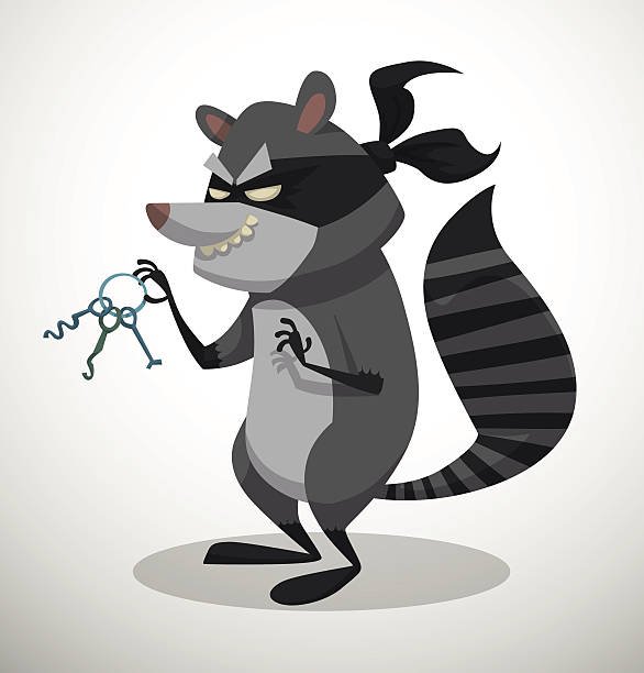 raccoon thief
