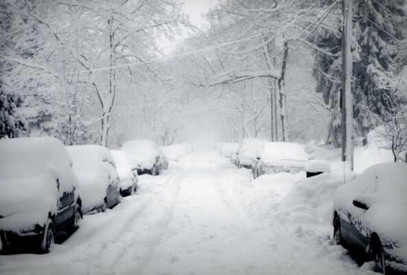 winnipeg winter pests