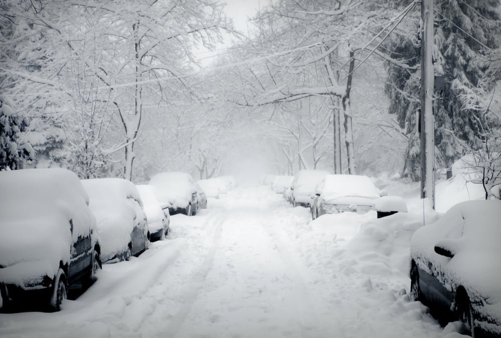 winnipeg winter pests